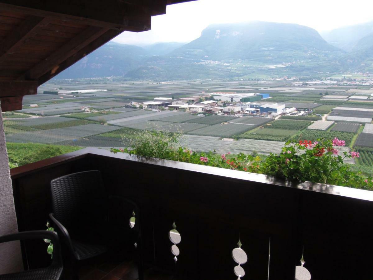 Garni Runggner Traubenhof Otel Termeno Dış mekan fotoğraf